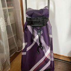 中古のカートをお譲りします。の画像