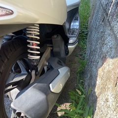 pcx125の画像