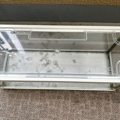 Tetra 水槽の画像