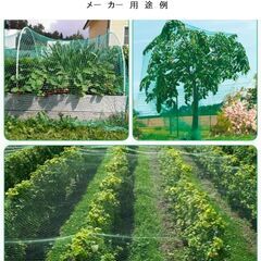 ■果樹・野菜・鳥獣食害対策　新品グリーンネット4m×15mの画像
