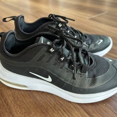 NIKE エアマックス　AIR MAX  21cmの画像