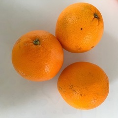 オレンジ7玉の画像
