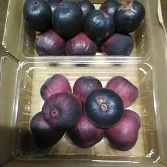 「受け渡し予定者様決定‼️」夕方収穫イチジク2パックの画像