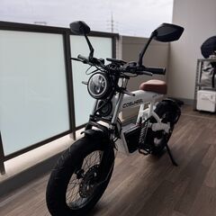 COSWHEEL MIRAI ピュアホワイト 1000W 低走行50km 美品の画像
