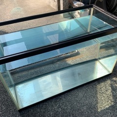 60センチガラス水槽の画像