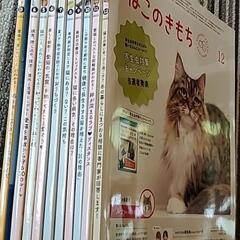 ベネッセ2022ねこのきもちの画像
