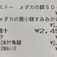 めだか飼育セットとメダカの画像