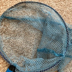 魚とり網  ビニールバケツの画像