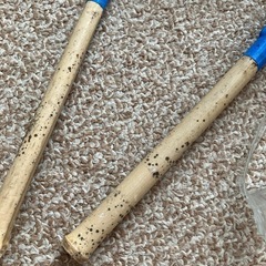 魚とり網  ビニールバケツの画像