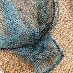 魚とり網  ビニールバケツの画像