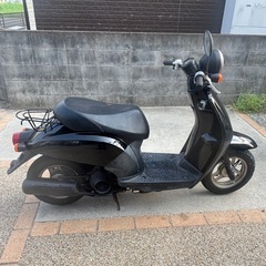 ホンダ todayの画像