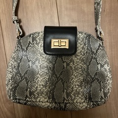 【未使用に近い】ヘビ柄ショルダーバッグの画像