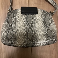 【未使用に近い】ヘビ柄ショルダーバッグの画像