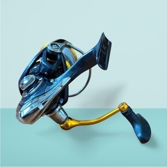 リール DAIWA 20レブロスLT3000-CHの画像