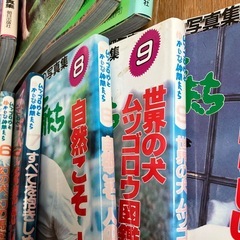 ムツゴロウとゆかいな仲間たち全10巻セットの画像