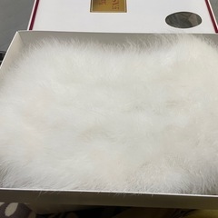 【美品】ショール　羽毛100%の画像