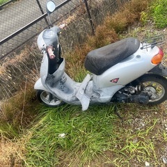 ディオフィットの画像