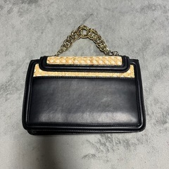 ZARAバックの画像