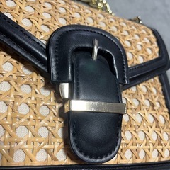 ZARAバックの画像