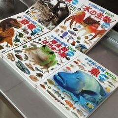 図鑑ネオの画像