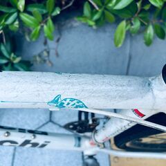 ビアンキ　自転車　クロスバイク　ロードバイク　カメレオンテ スポーツ 3 中古　ホワイト　白 bianchiの画像