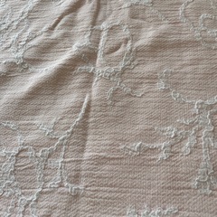 夏掛けの画像