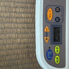 8月31日日曜日に取りに来てくれる方限定で格安です　ハローゲンプレートの画像