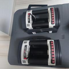 ディップススタンド+ダンベル 可変式 22kg 2個セット 可変式ダンベル  重量調節 3kg〜最大22kgの画像