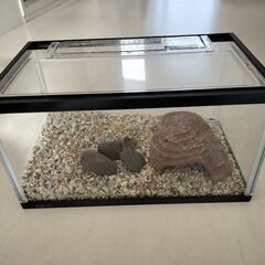 ミニ水槽セットの画像