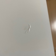レンジ台の画像