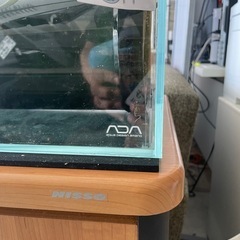 ADA60cm水槽セットの画像