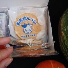 かぼちゃ2種類とお菓子１０点セットの画像