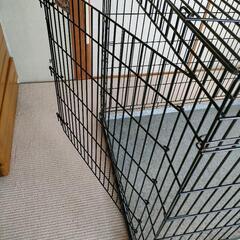 大型犬用　ゲージの画像