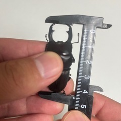 ライヒヒラタクワガタ ♂ ②の画像