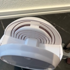 Parado CANMAKE マニキュア 2本セット＆ダイソー ネイルドライヤーの画像