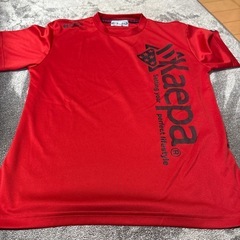 スポーツブランドＴシャツ5枚セットの画像