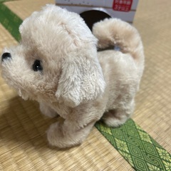 ベビーリトリバー　電池で歩く犬の画像