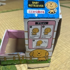 ベビーリトリバー　電池で歩く犬の画像
