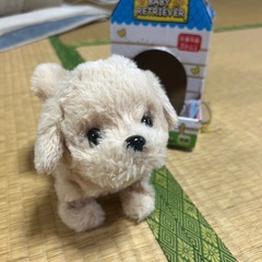ベビーリトリバー　電池で歩く犬の画像