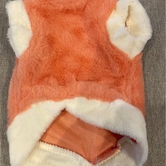 新品！XS猫の服 犬用コスチュームの画像