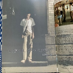 ちょっとマイナーな映画のパンフレット　12冊の画像