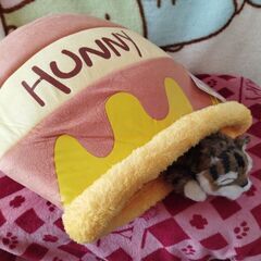 ハニーポット  "キャットハウス"の画像