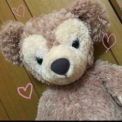 シェリーメイ　ぬいぐるみの画像