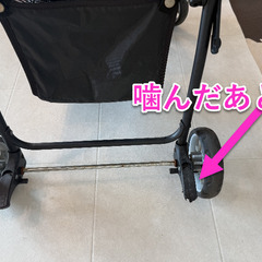 タンスのゲン ペットカート 折りたたみ 4輪バギー 小型犬　リード2本付き　ブラウンの画像