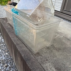 虫かごの画像
