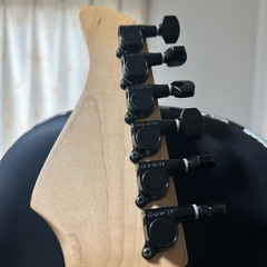Fernandes JG-75の画像