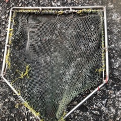 ①
タモ網の画像