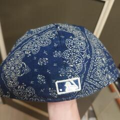 ペイズリー柄の画像