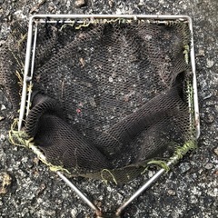 ③タモ網の画像
