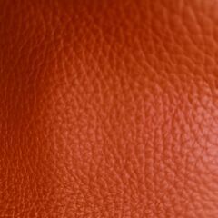 バックの画像